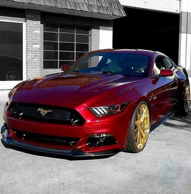 acd7627de0f9f1d6fc2f96ed95cca774--mustang.jpg