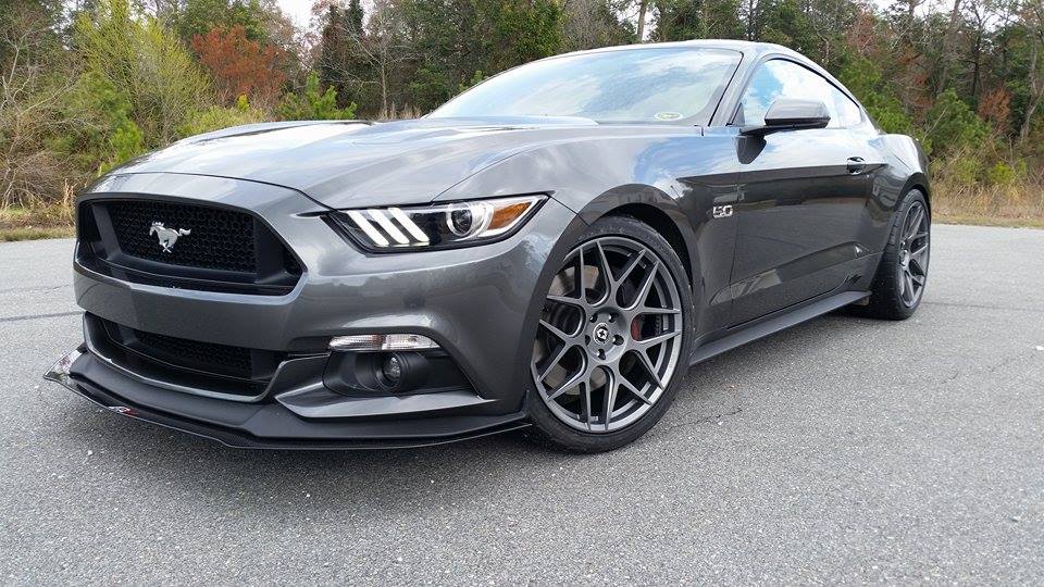 11092576_10152868605944582_1774449785_n.jpg