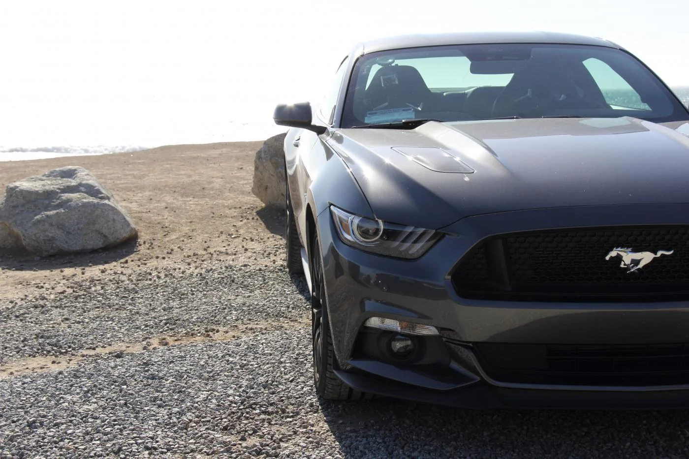 DPP_4.webp
