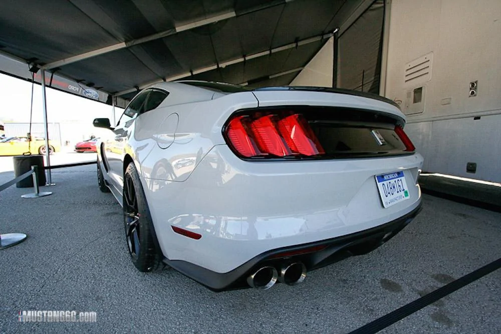 _MG_0257-001.webp