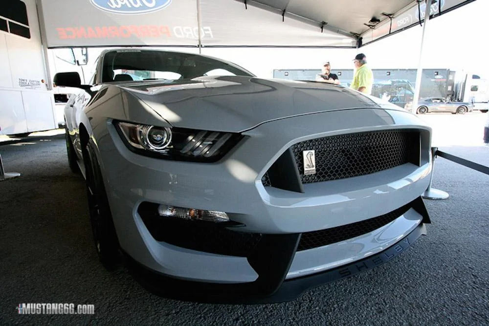 _MG_0289-003.webp