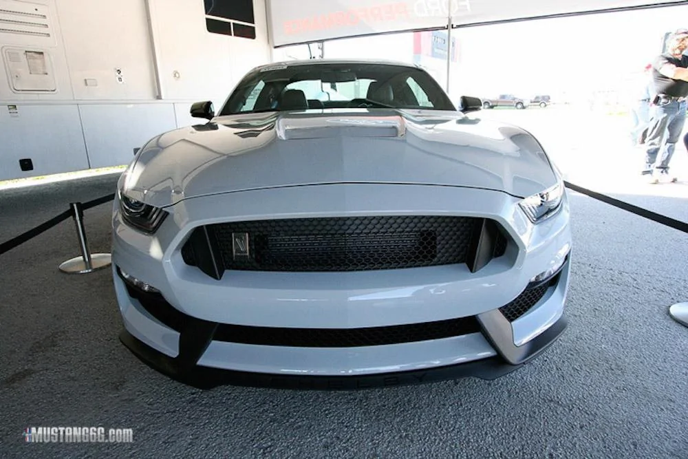 _MG_0296-004.webp