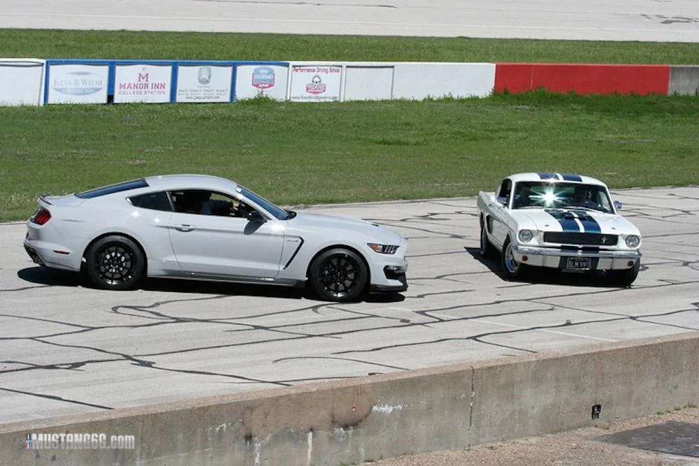_MG_0426-007.webp