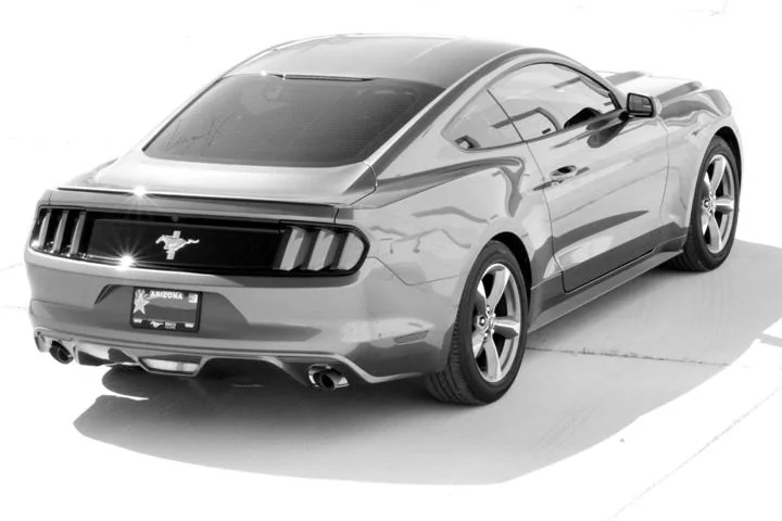 Stang.webp