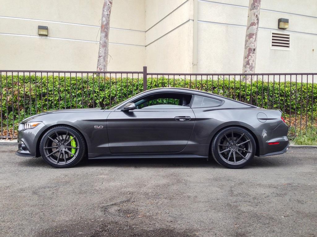 stang.jpg