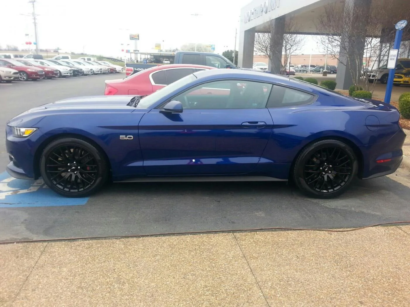 my2015MustangGT_1.webp