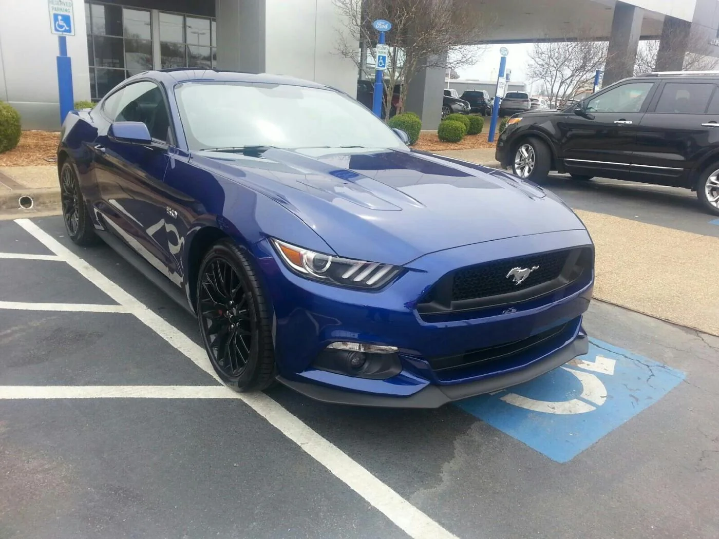 my2015MustangGT_2.webp