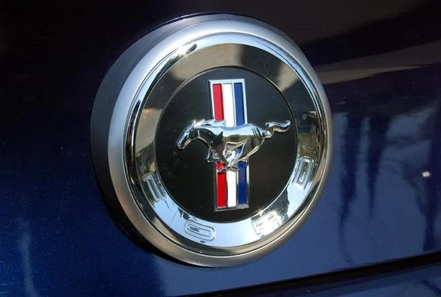 faux-gas-cap.webp
