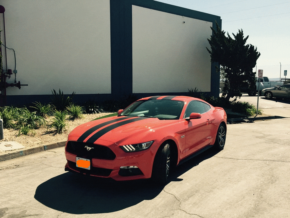 imageedit_3_3179915815.gif