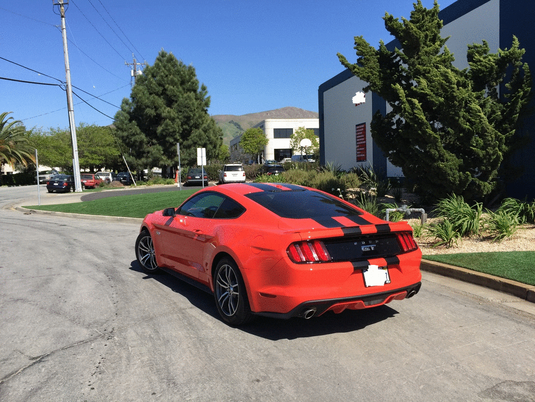 imageedit_13_3327320985.gif