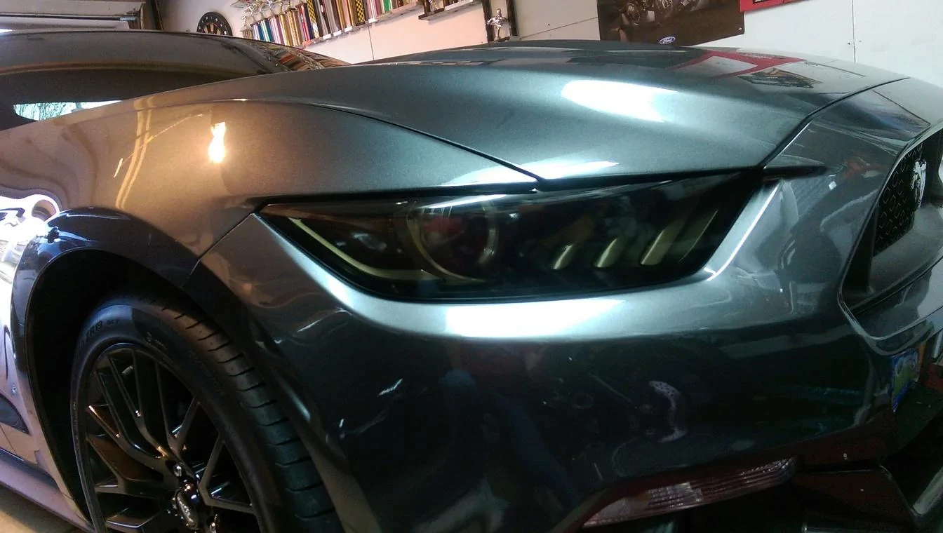 50%tintedstang_50.webp