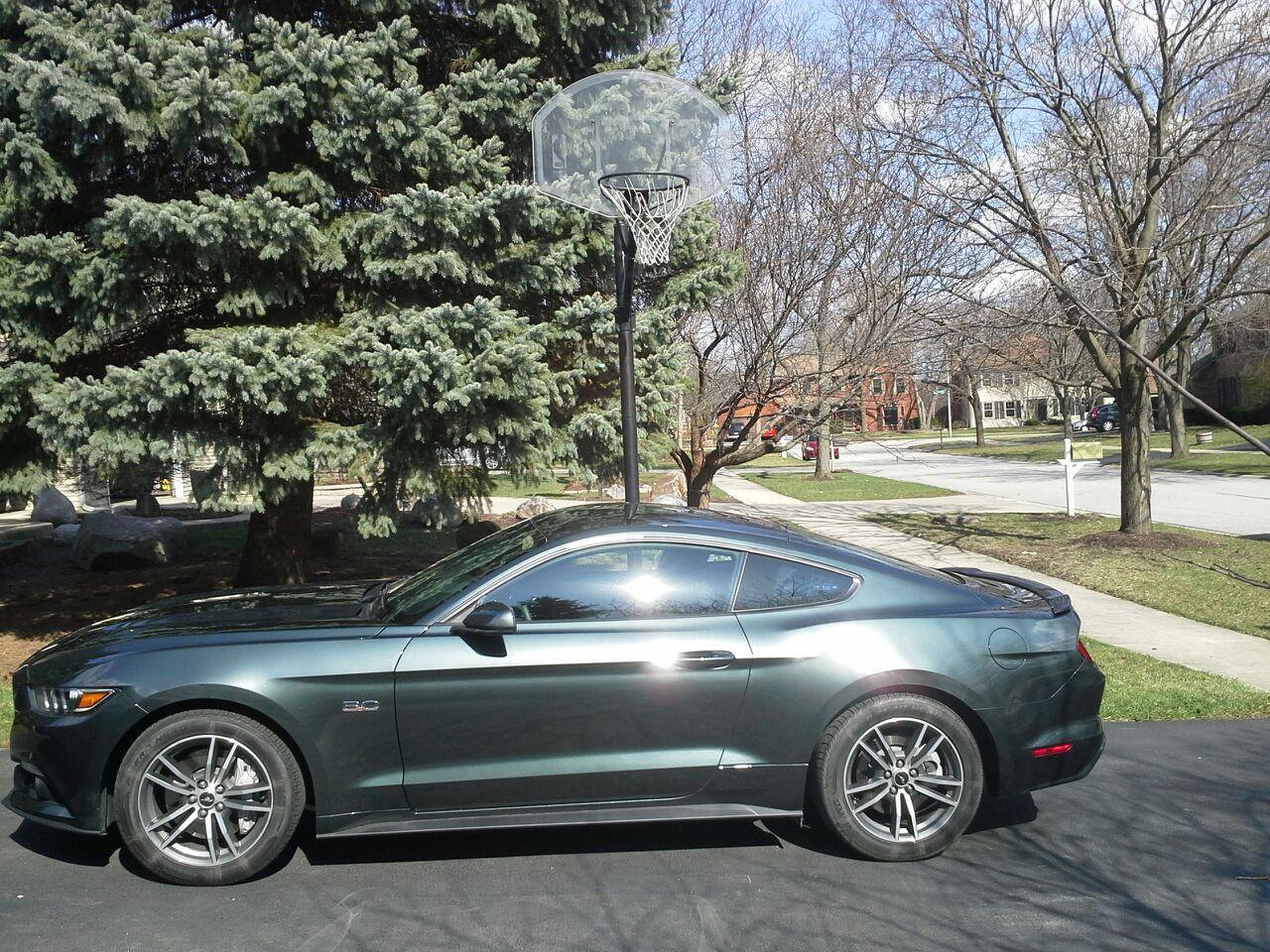 20150404_153448.jpg