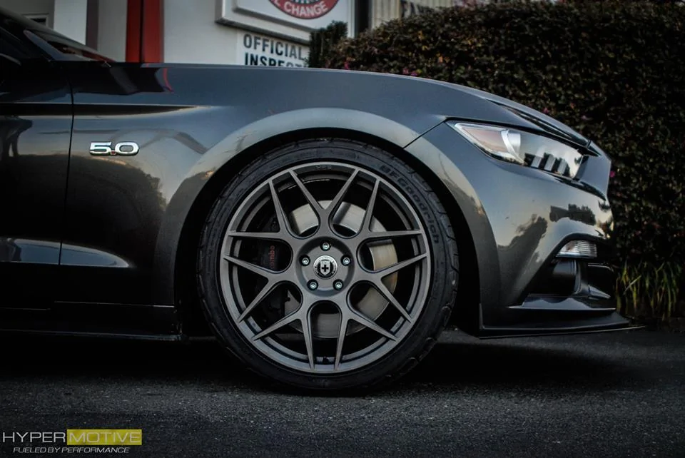 11130524_853974297167_1417622872_n.webp