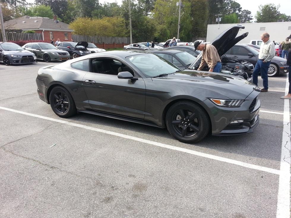 Mustang 4.jpg
