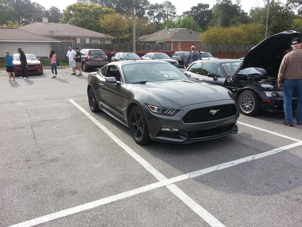 Mustang 3.jpg