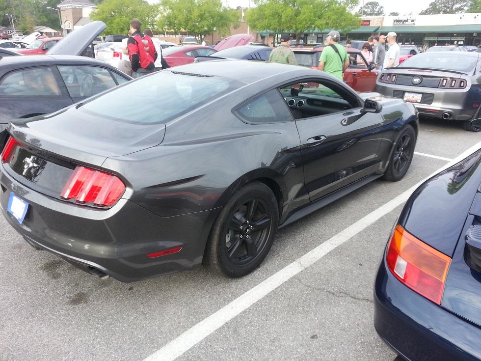Mustang 2.jpg
