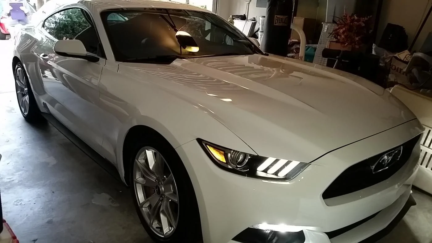 mustang front.webp