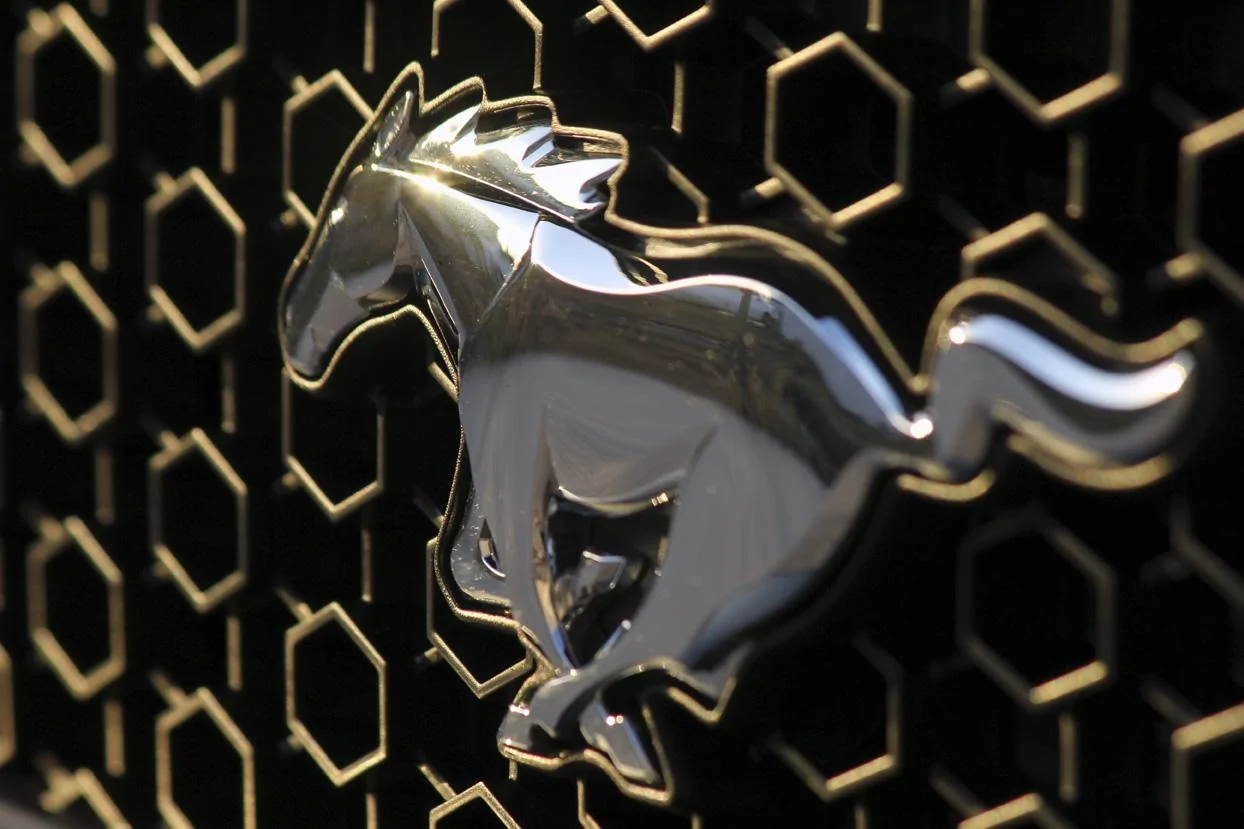Pony.webp