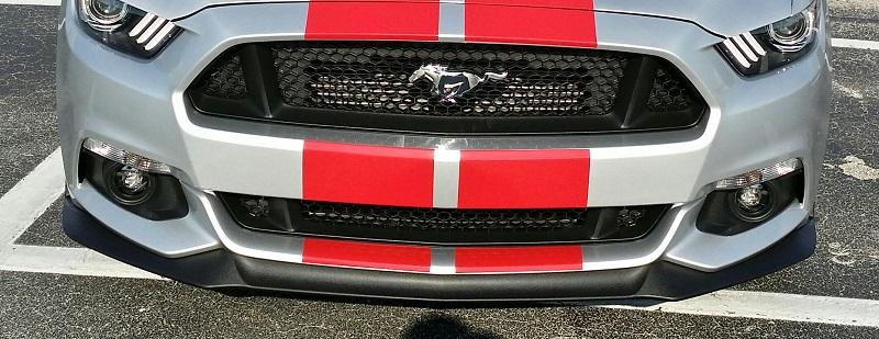 gt pp lip.jpg