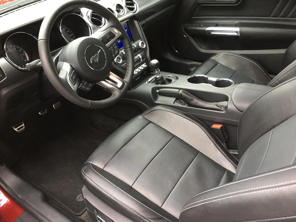 36200319380_9acac76209_b.webp