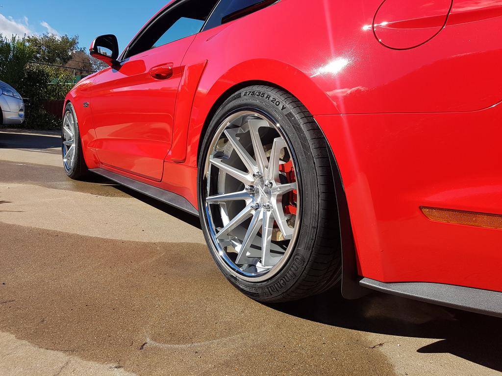 36489859352_b4d7590ec9_b.jpg