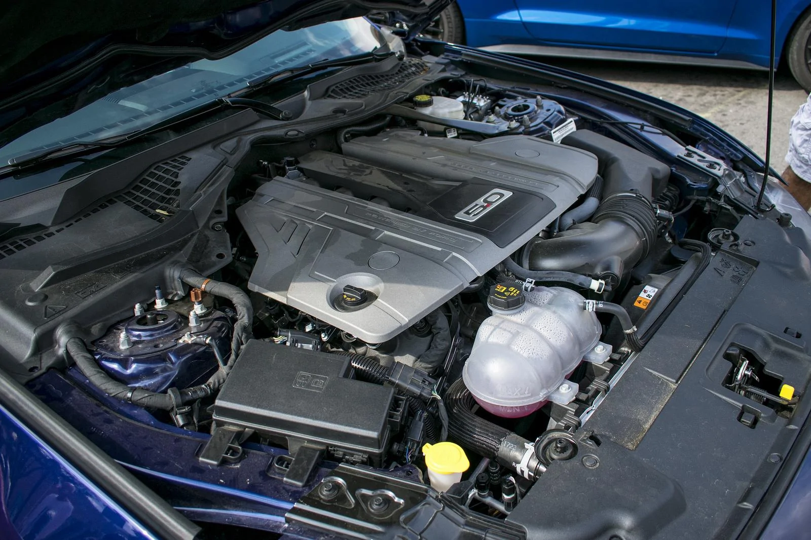 36689887436_3967f9eb19_h.webp