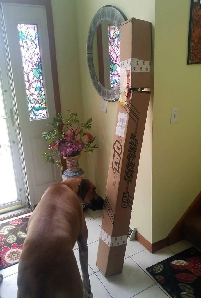 zz%200831171031_resized.jpg