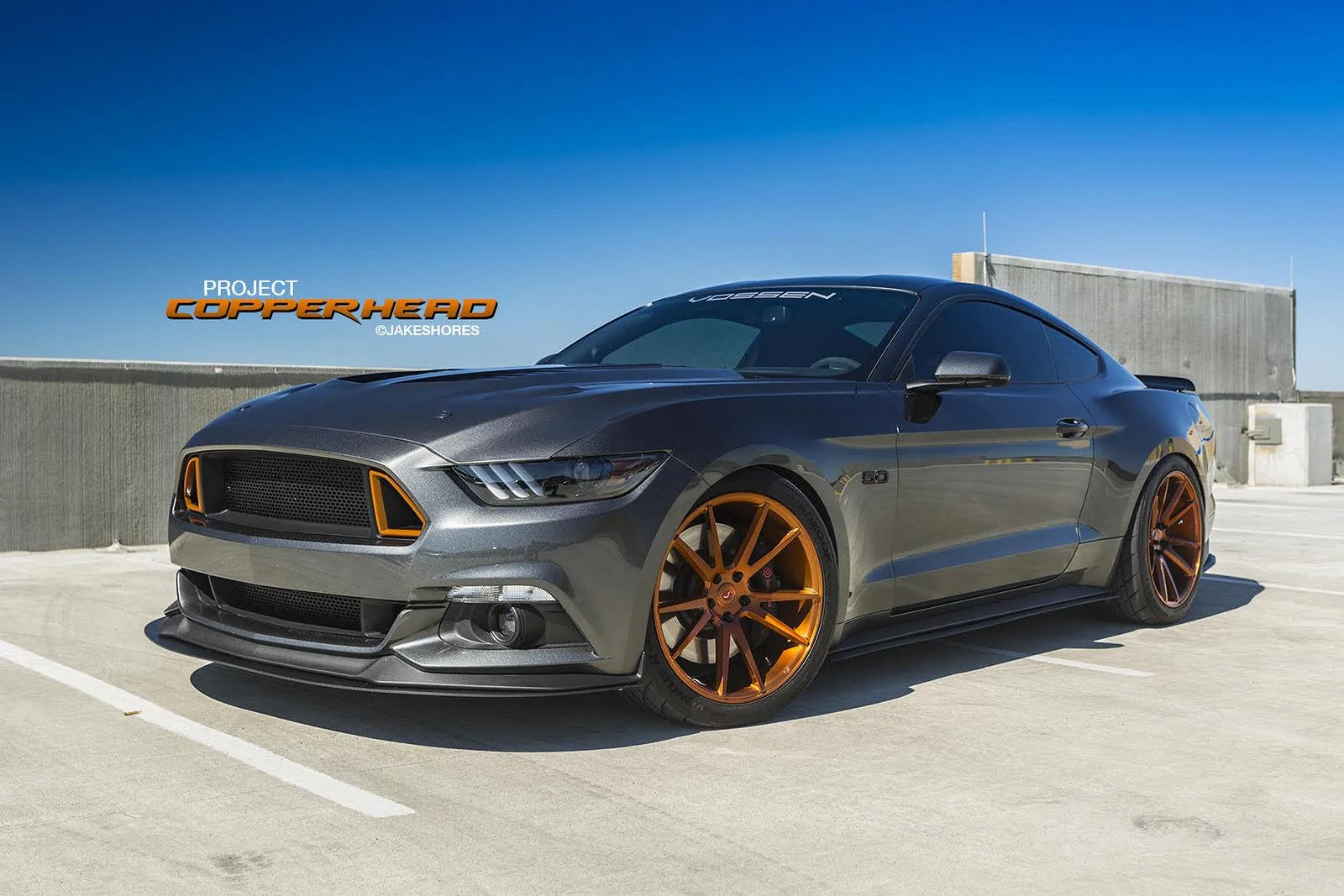 35699877053_3d6c0fc9ff_h.webp