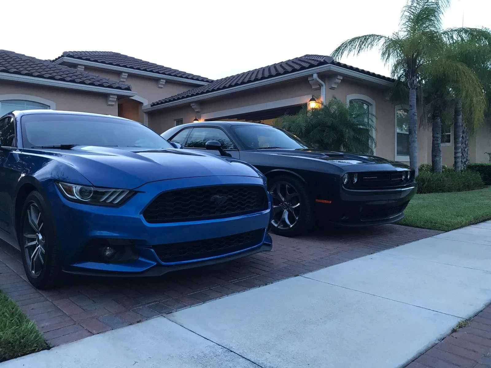 MustangChallenger.webp