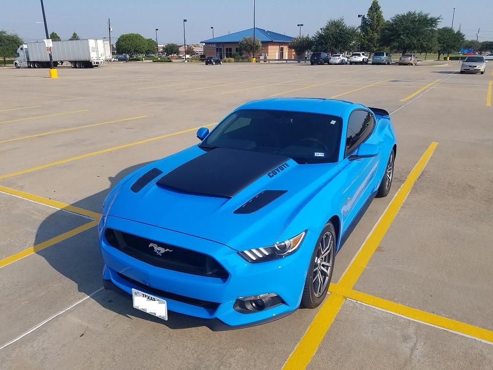 mustangnew.jpg