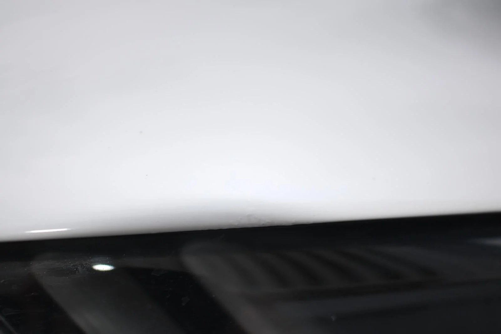 IMG_0261_2.webp
