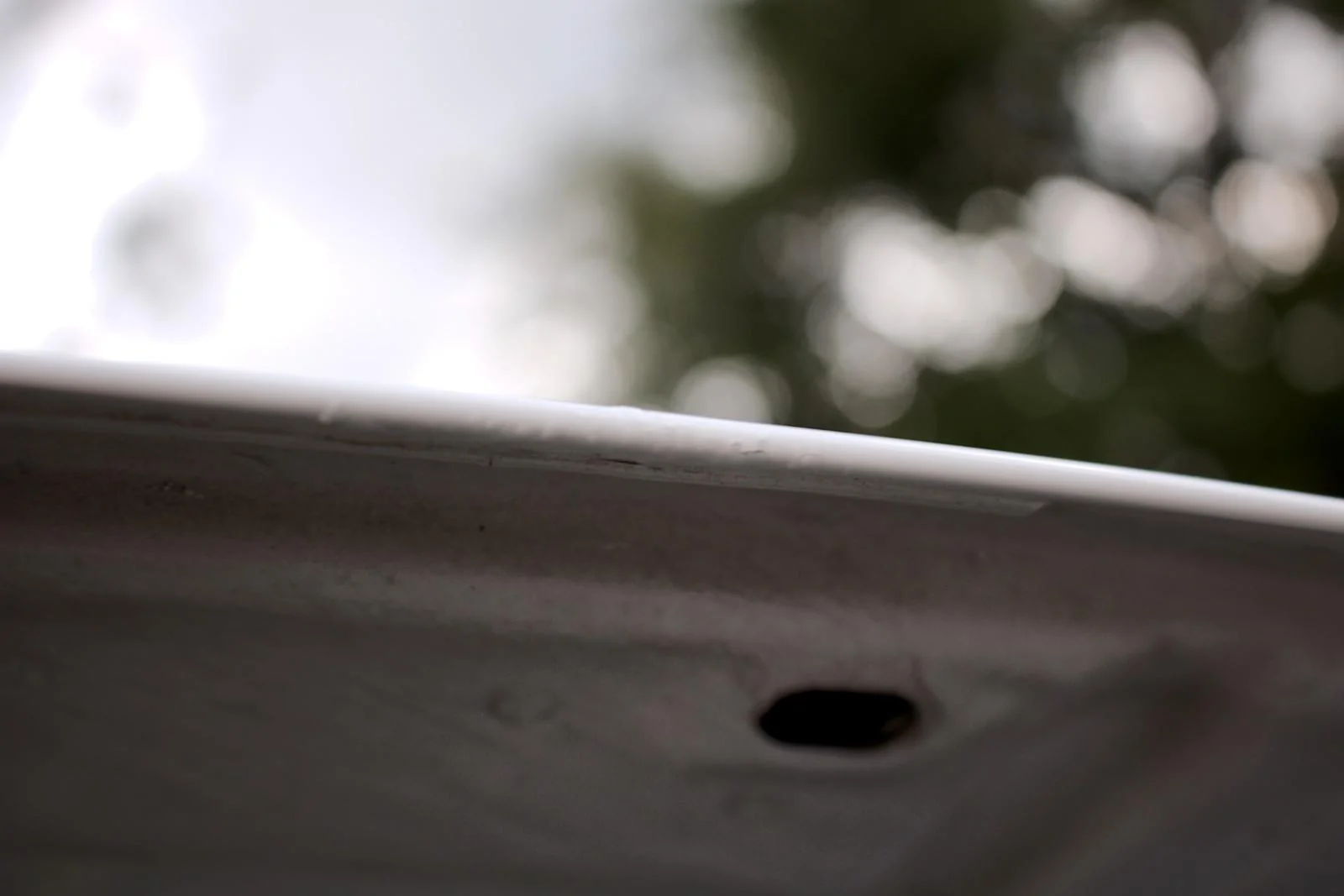 IMG_0263_2.webp