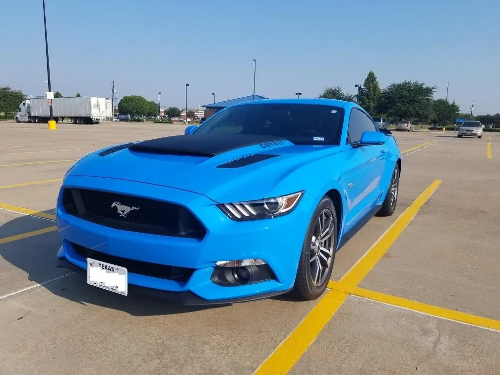 mustanganother.webp
