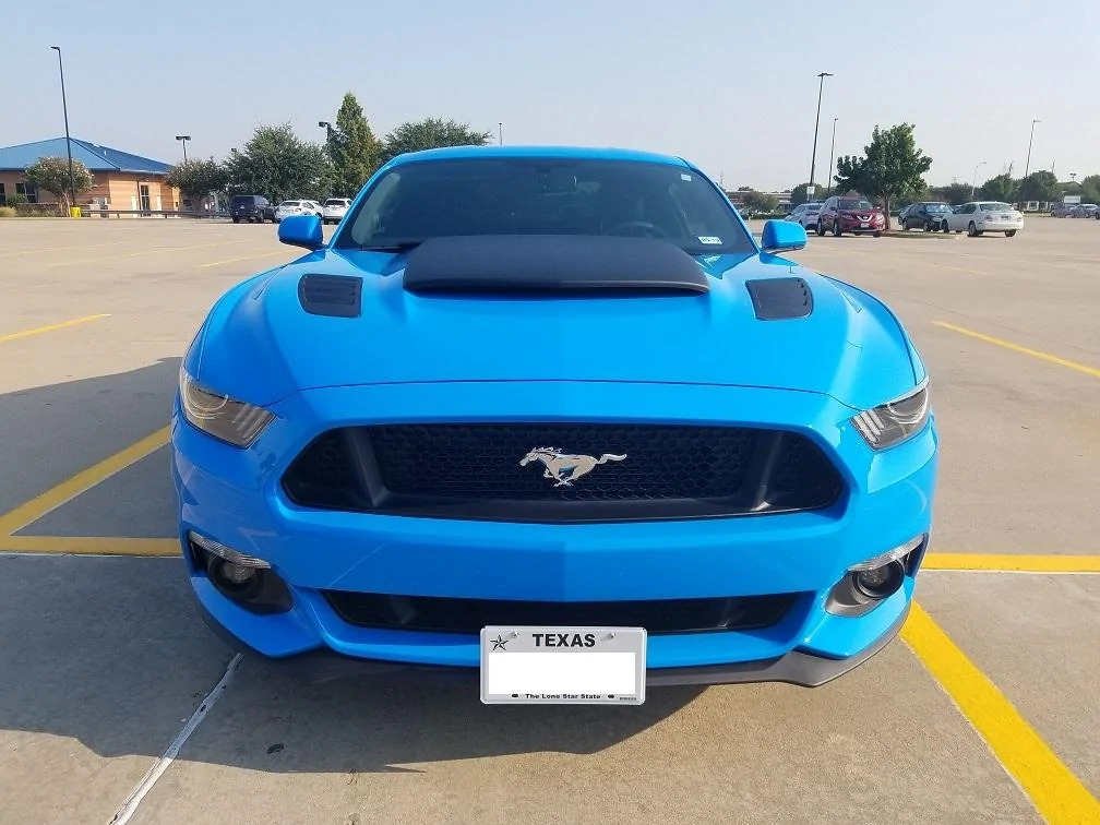 mustanganother2.webp