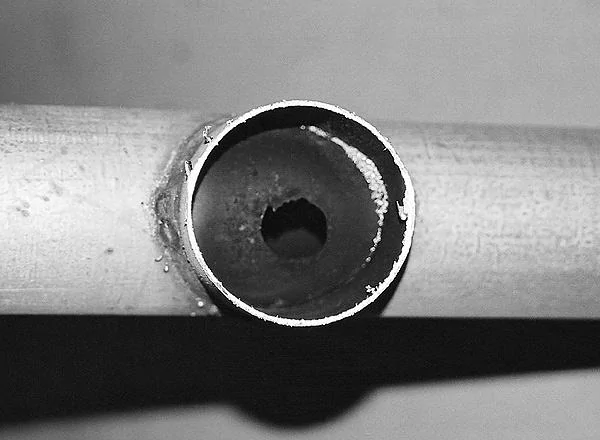 0307Vet_Pipe07_z.webp