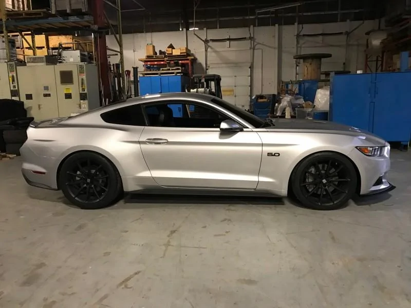 My2016_GTSnakes3.webp