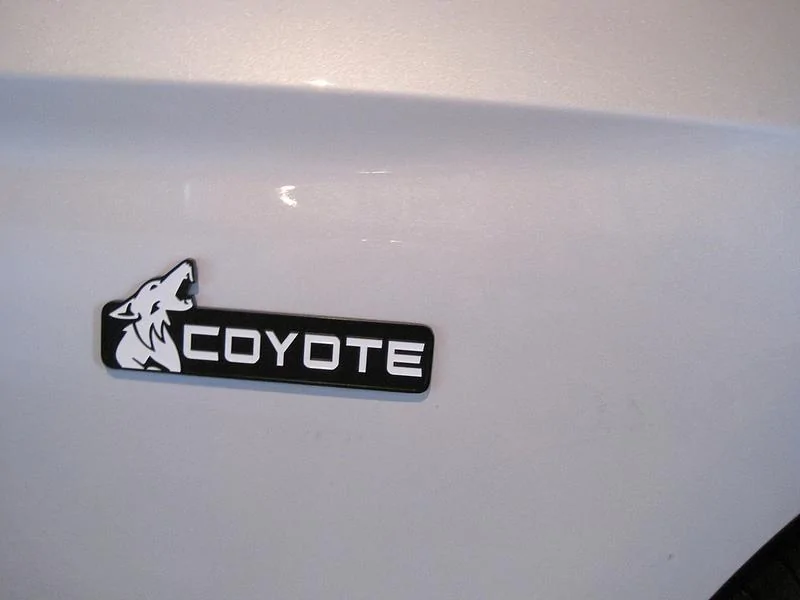 37375650015_98f6c3b580_c.webp
