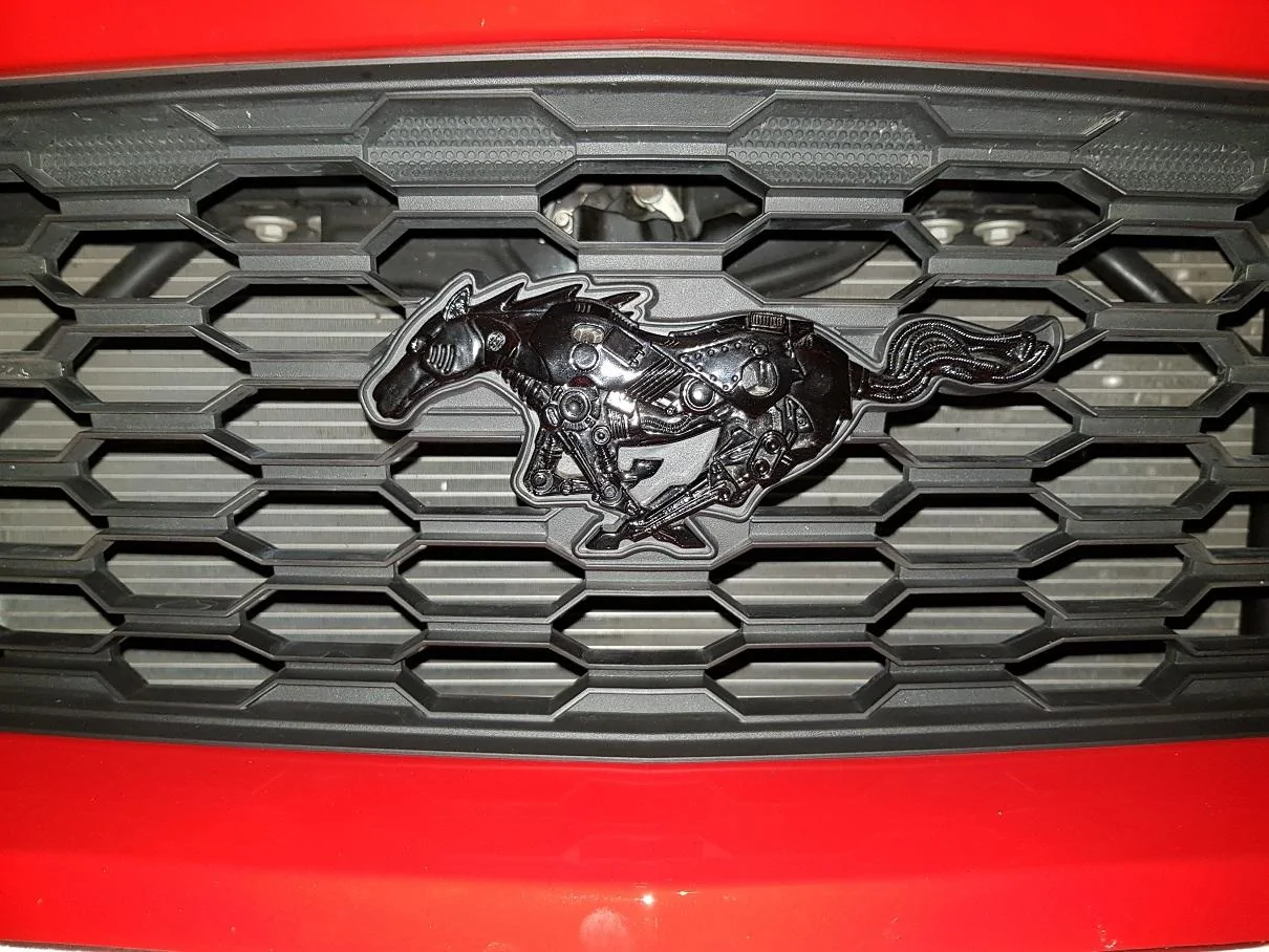 picture.webp