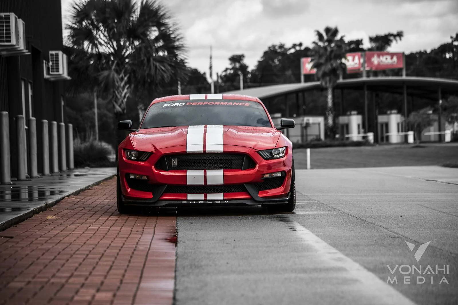 37151245261_ada514c14e_k.webp
