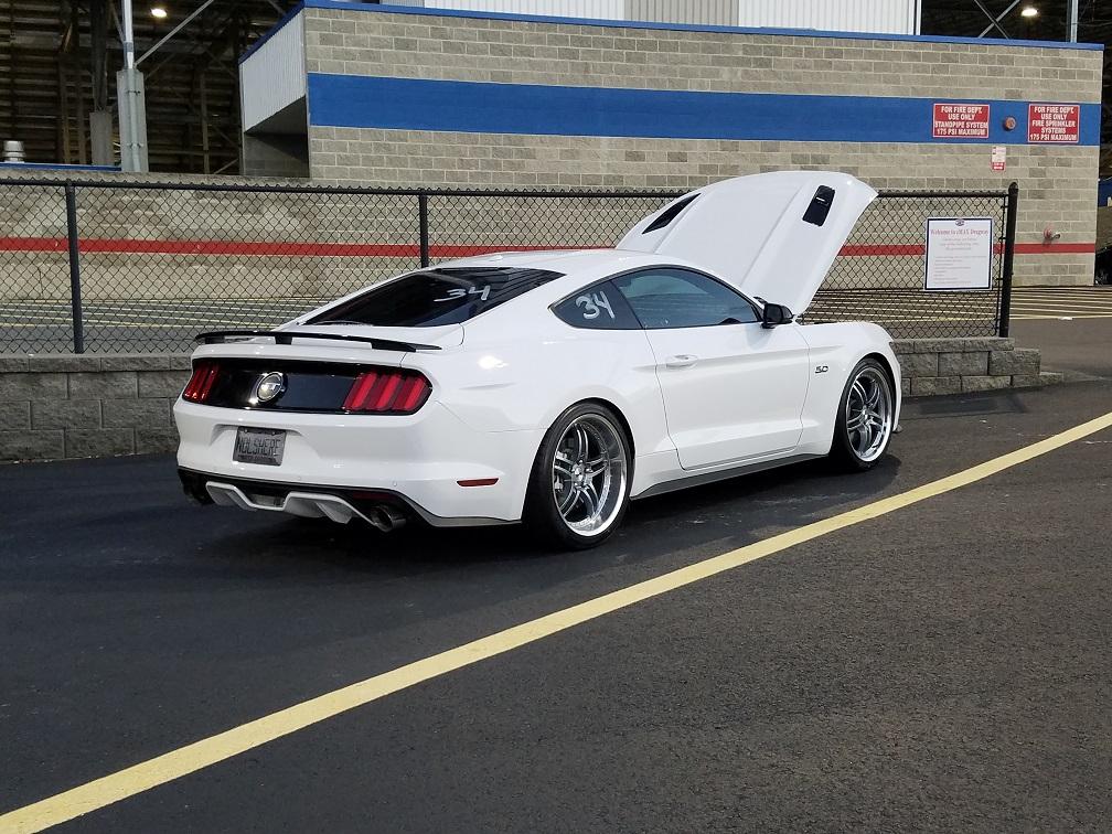17gt_rear.jpg