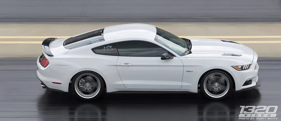 17gt_sct17.webp