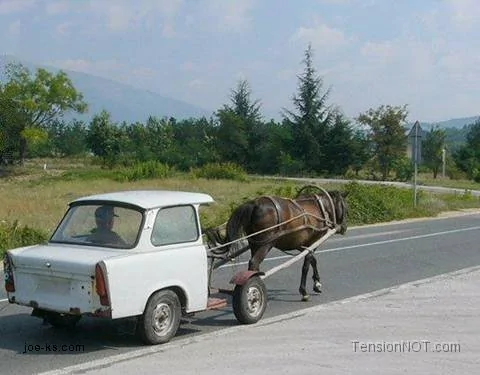 horse-cart-car.webp