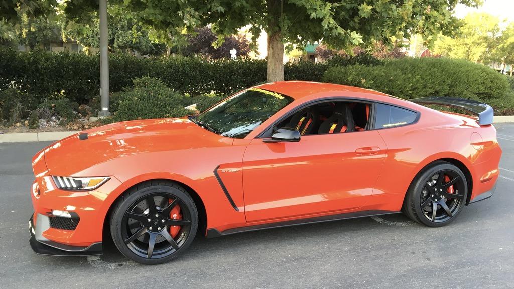 Project-6GR-Shelby-GT350-19x11-03.jpg