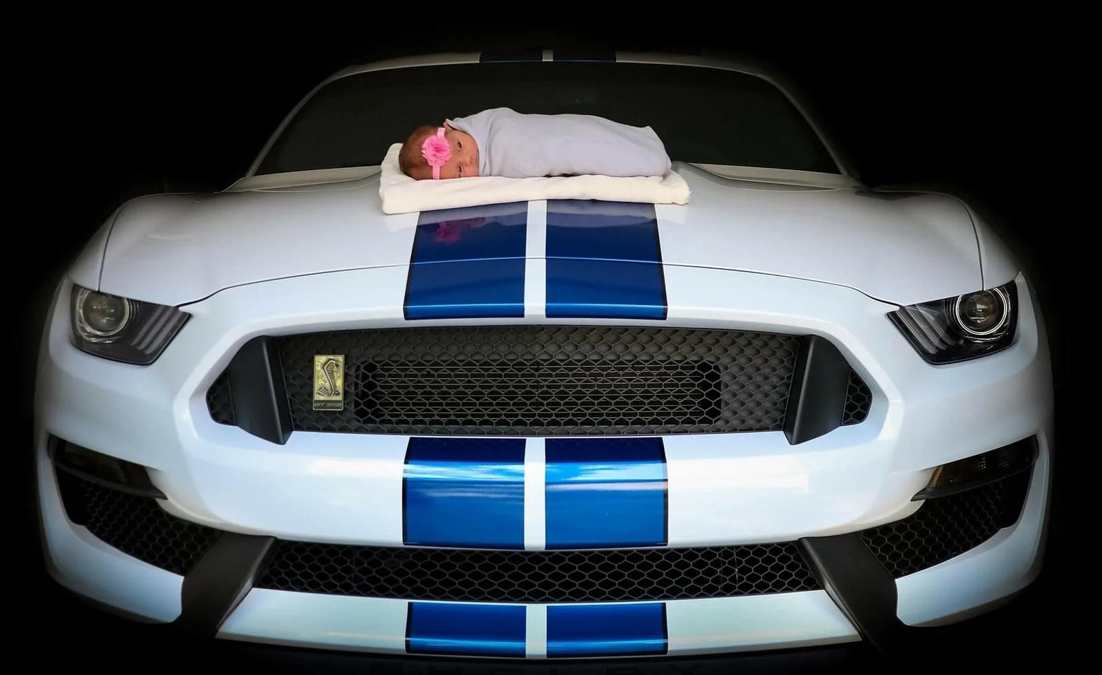 36805196893_1c8df0c03d_h.webp