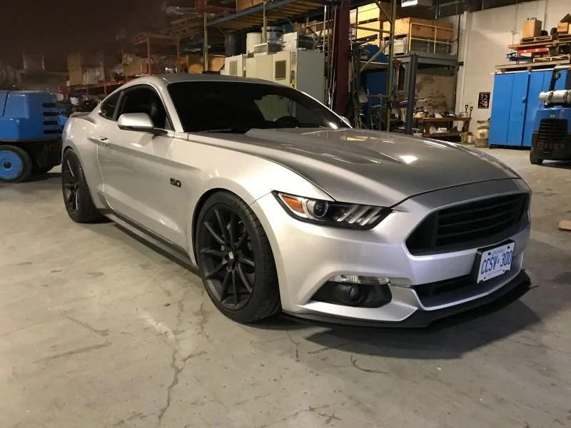 My2016_GTSnakes.webp