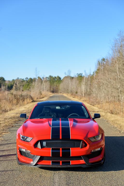 DSC_3831-Edit-XL.jpg
