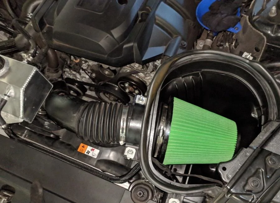 green15.webp