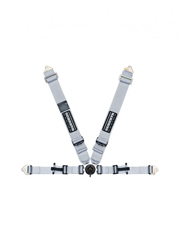 picture.webp