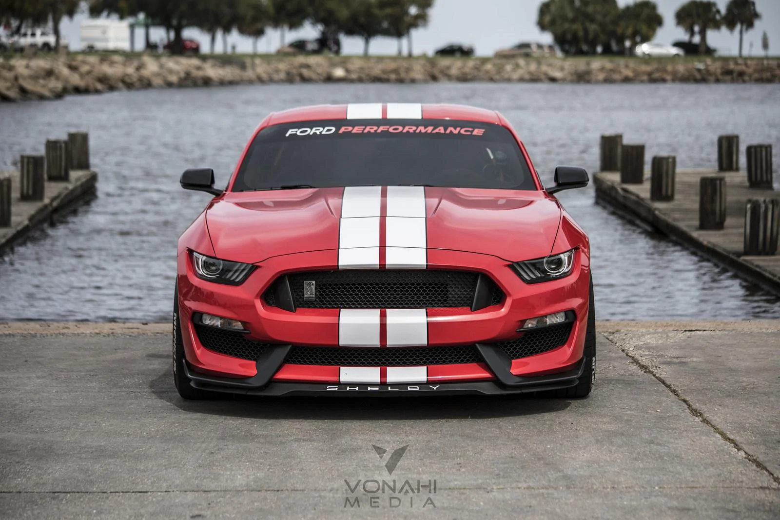 37233241244_012e723f89_k.webp