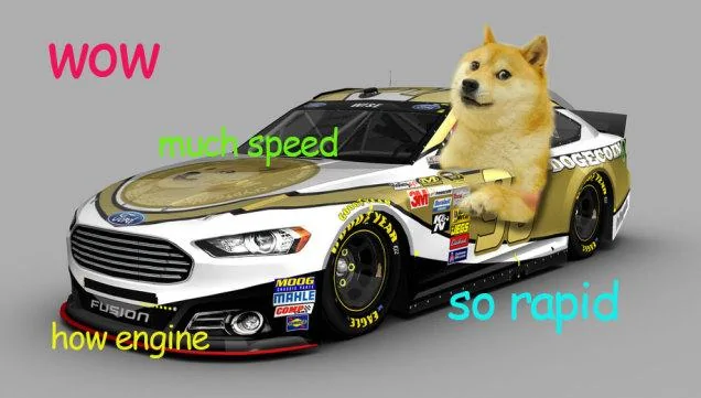 doge.webp